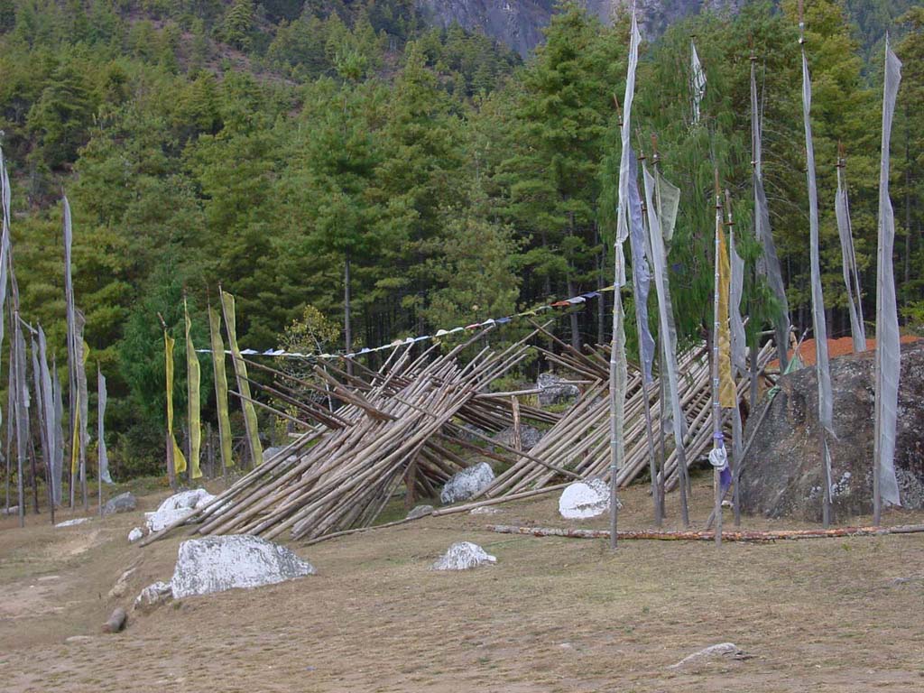 Saw Mill