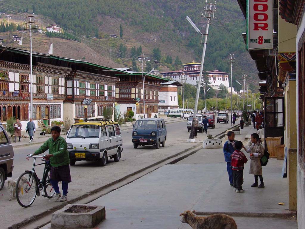 Paro Strip