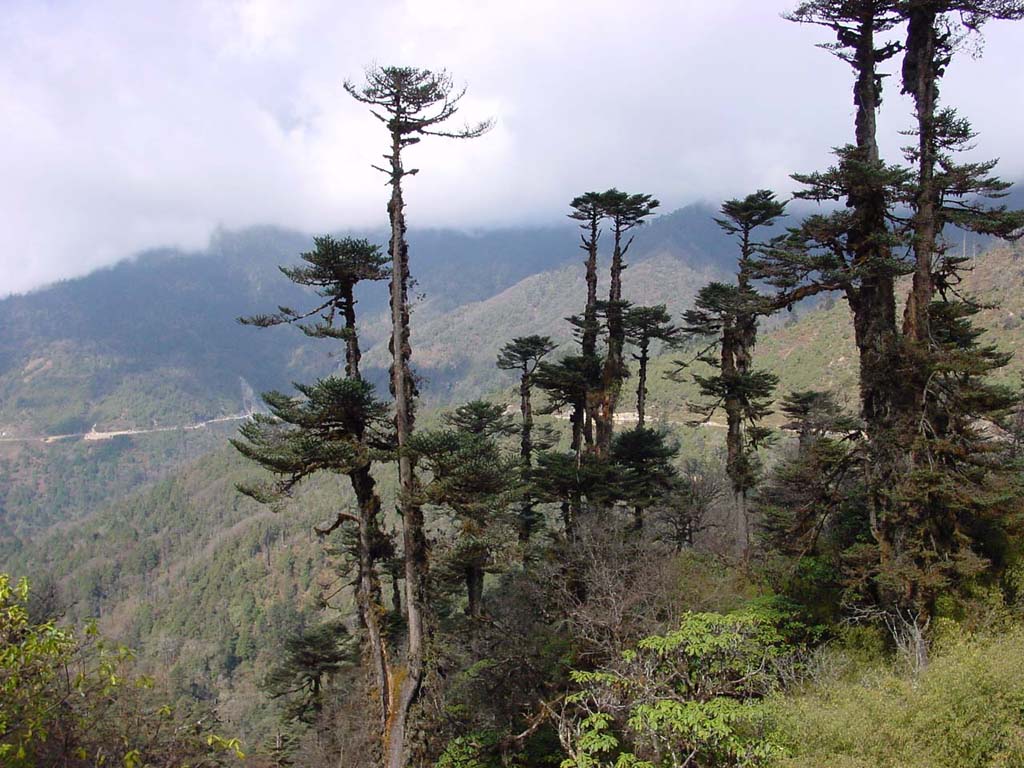 Yotong La, 3325m