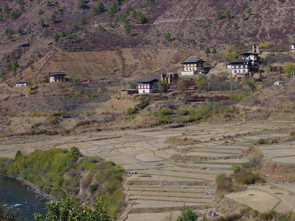 Farmhouses and Ruins