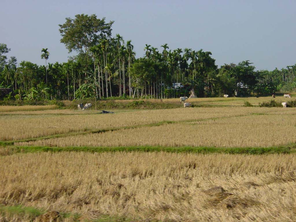 West Bengal