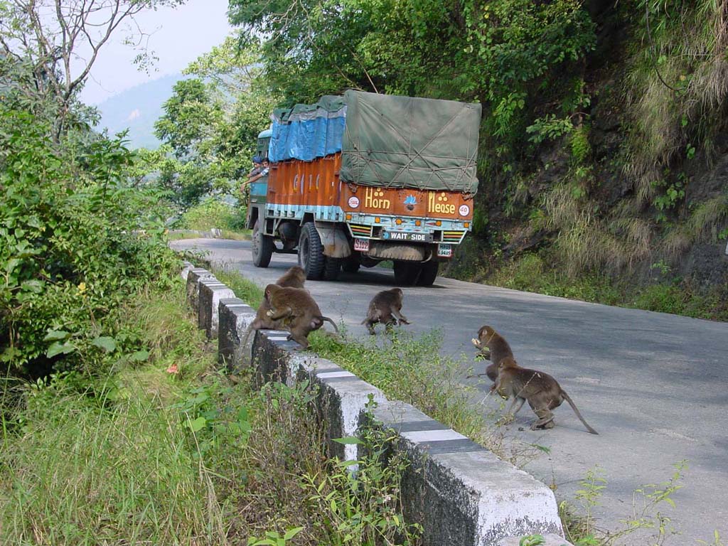 West Bengal, near Siliguri
