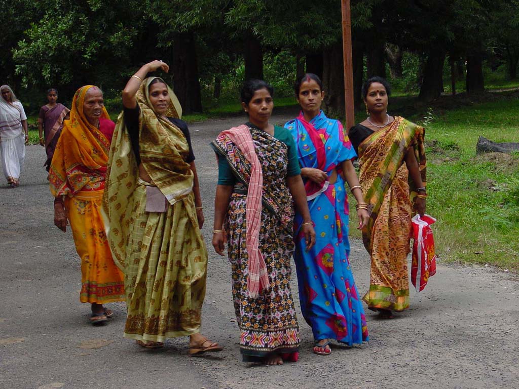 Day of the Bihar Festival