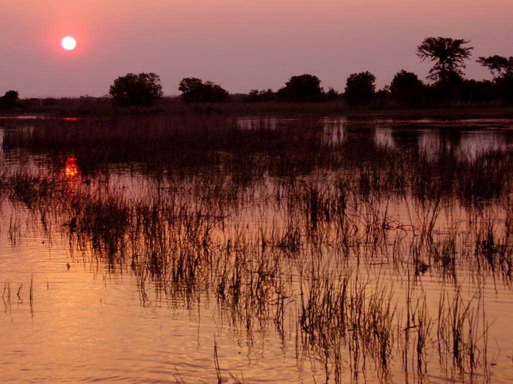 Okavango Delta