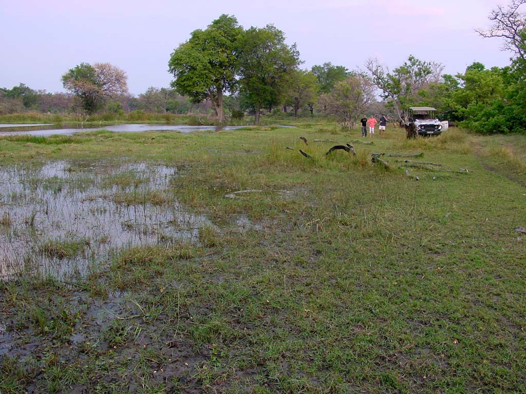 The Picnic Site