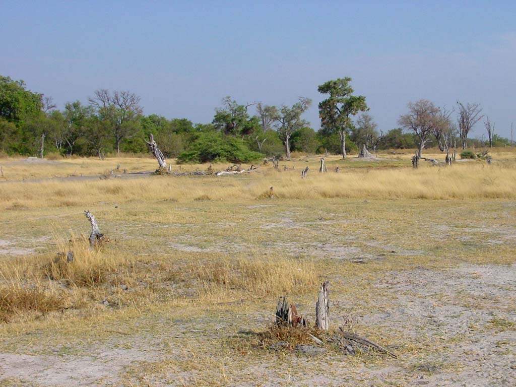 Delta Landscapes