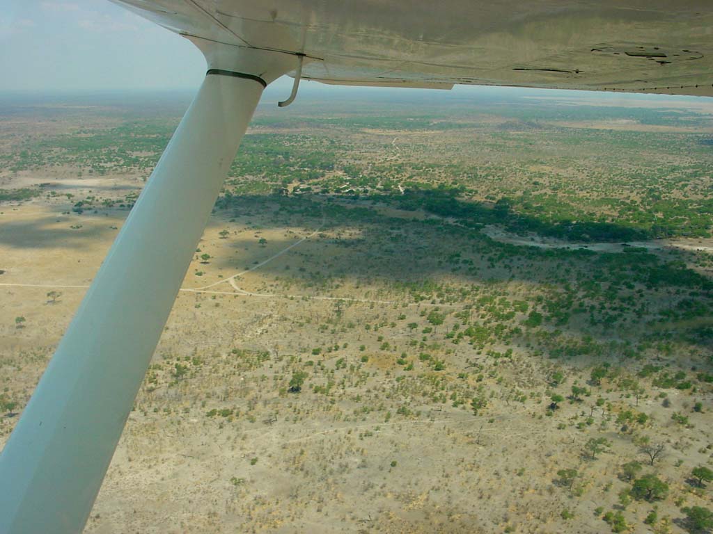 Approaching Savute