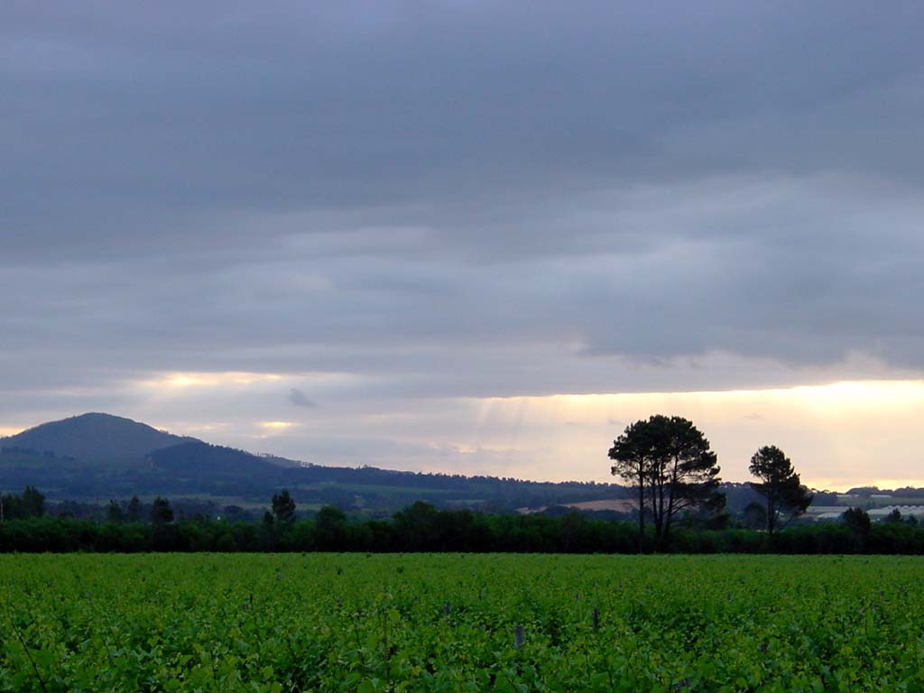 Franschhoek