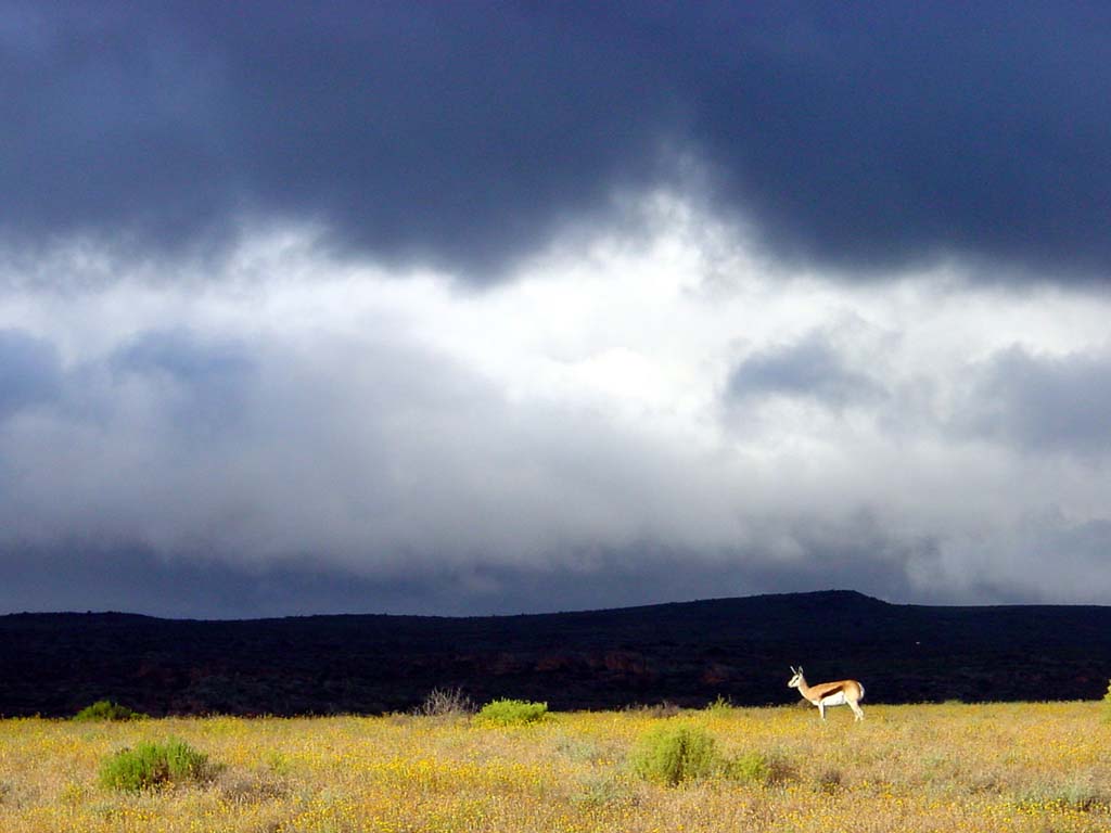 Bushman's Kloof Reserve