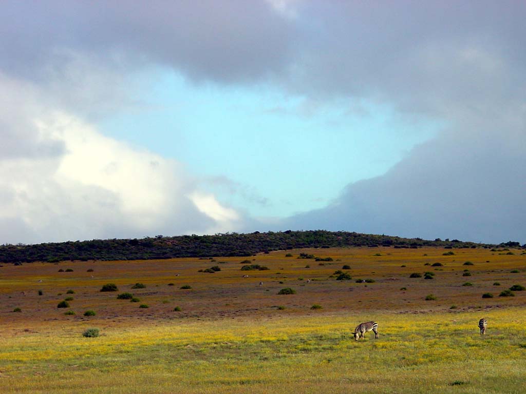 Bushman's Kloof Reserve