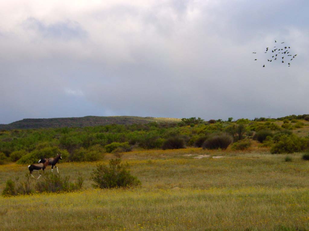 Bushman's Kloof Reserve