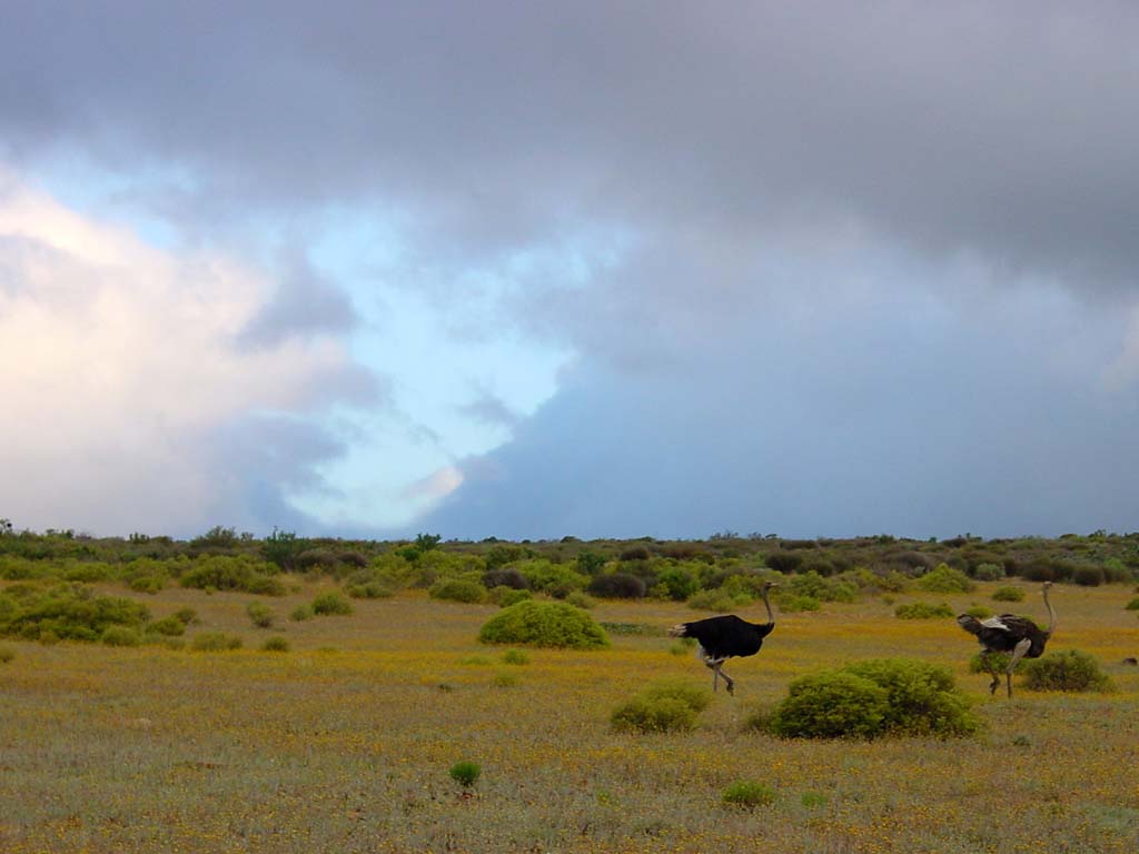 Bushman's Kloof Reserve