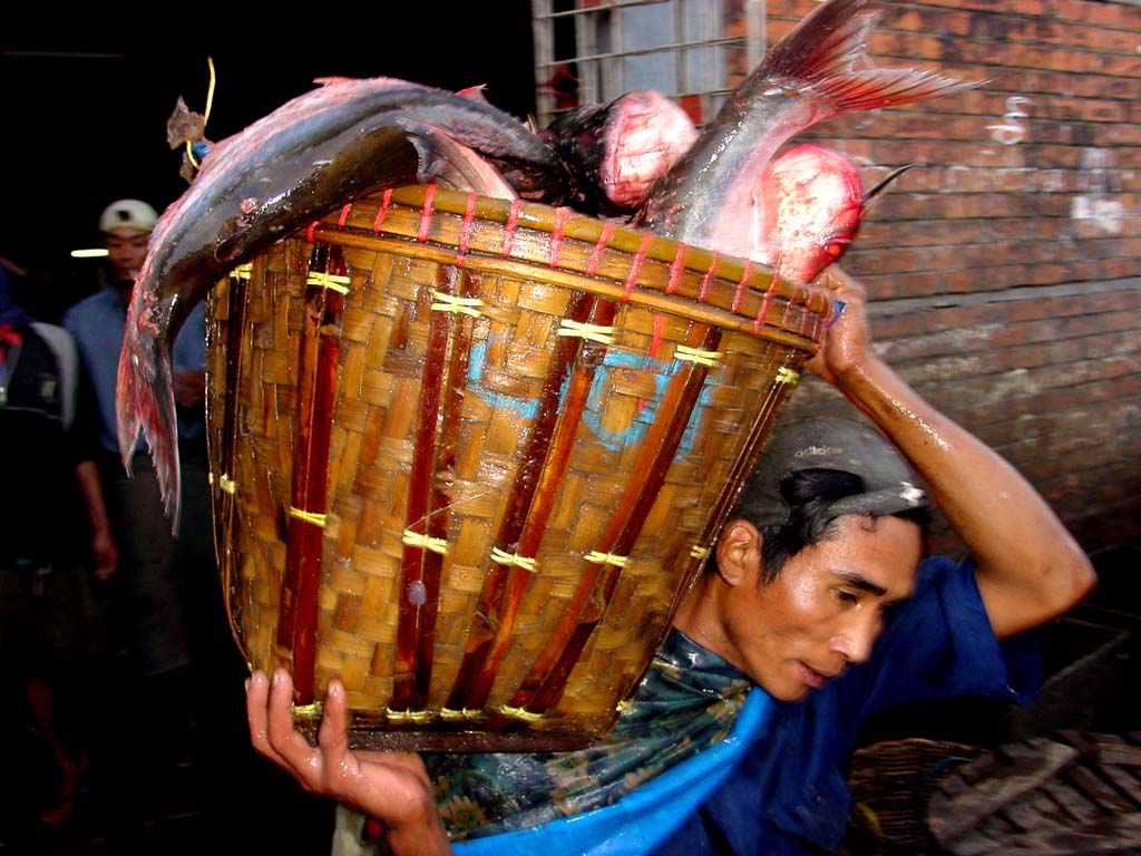 Fish Market