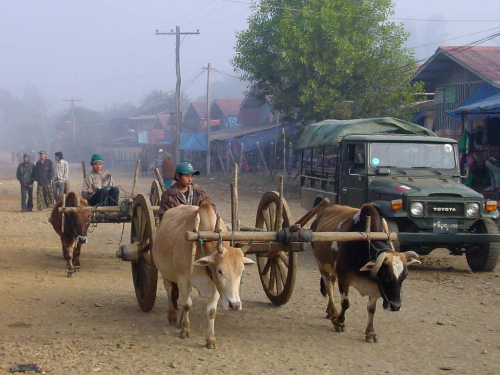 Putao Main Street