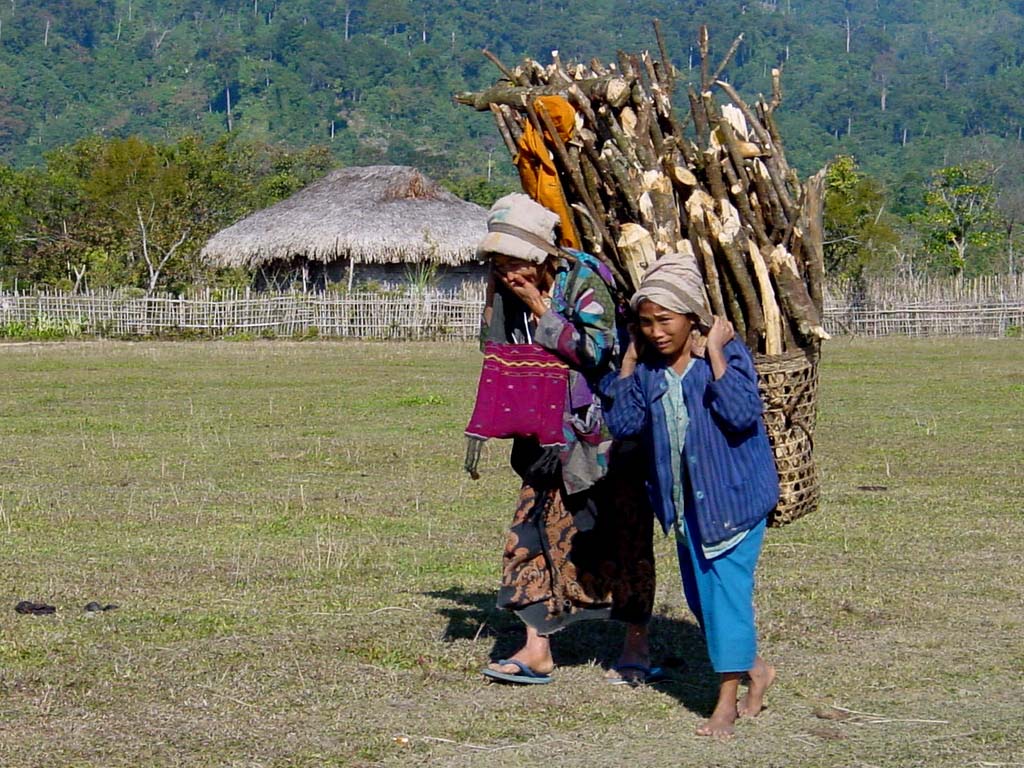 Firewood