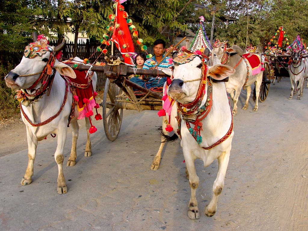 Mandalay, Novitiation Ceremony