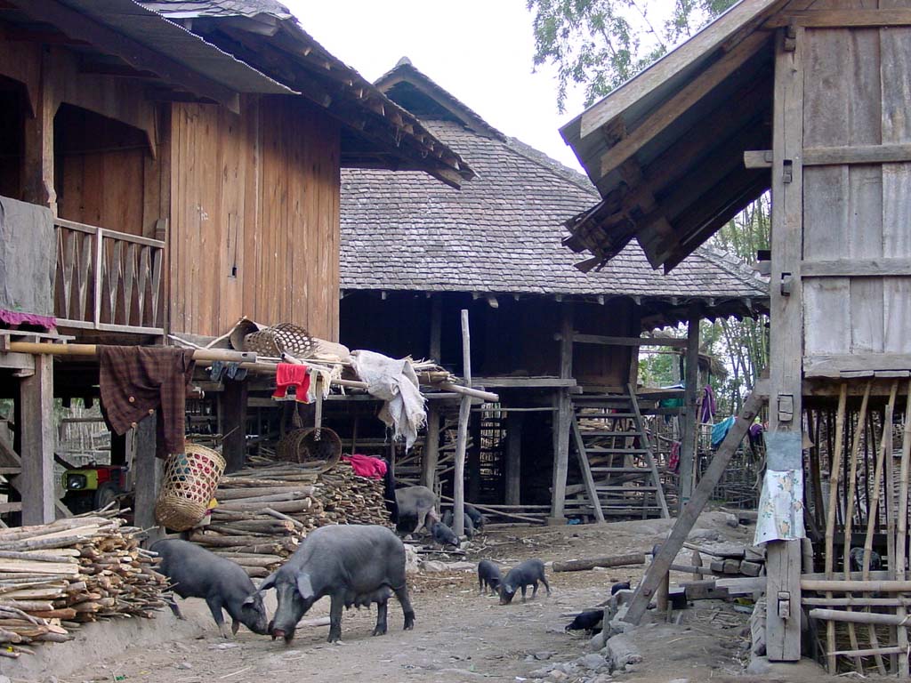 Palaung Street Scenes