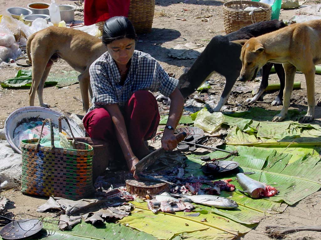 Market