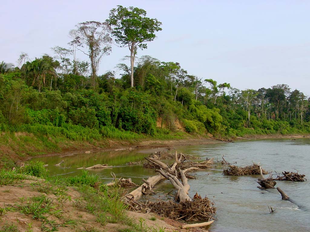 Tambopata