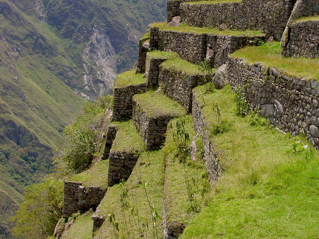 Terraces