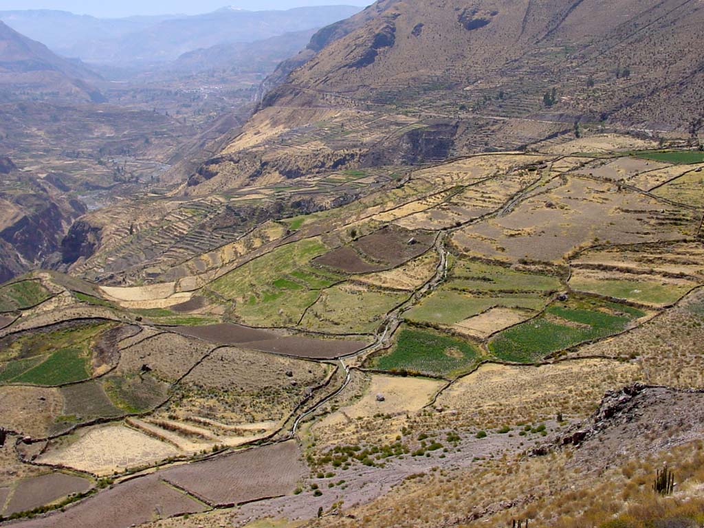 Colca Canyon