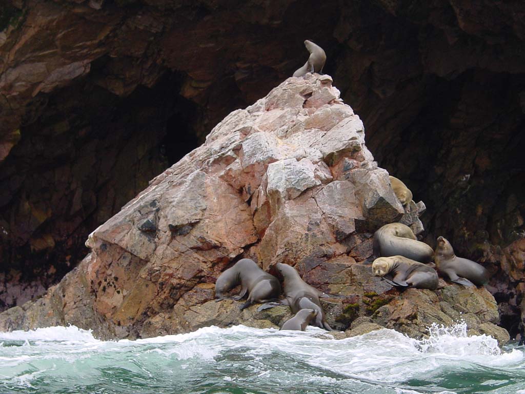 Islas Ballestas