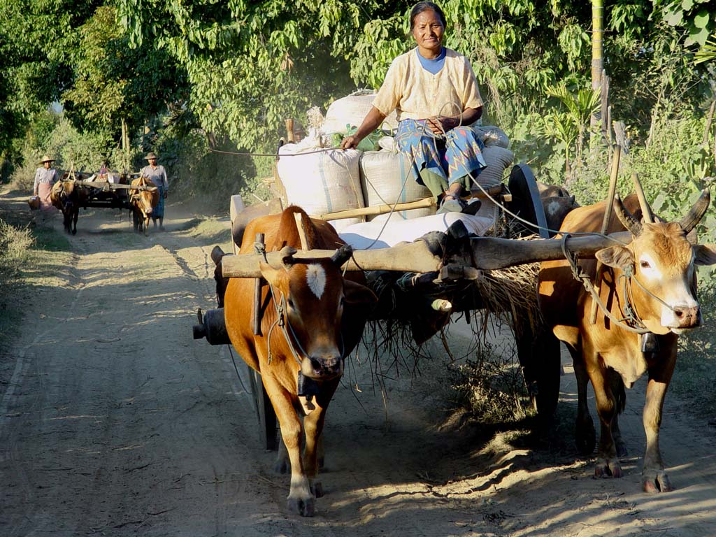 Farmers