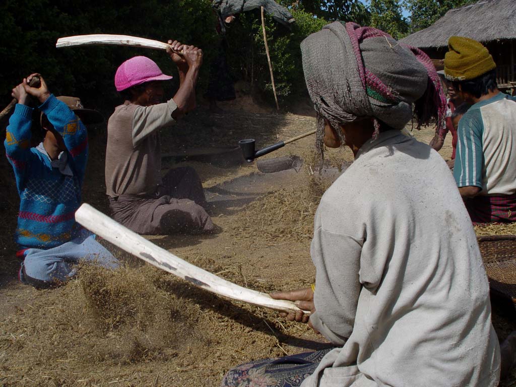 Threshing