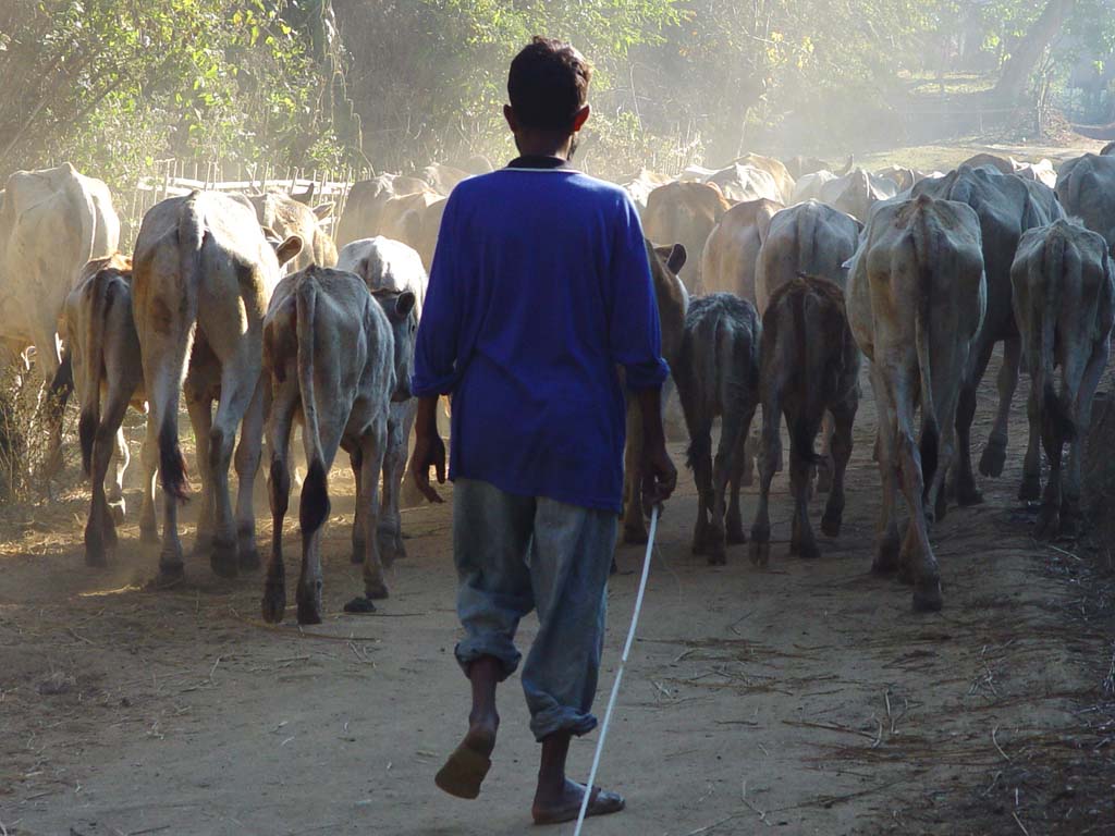Leaving Bhamo