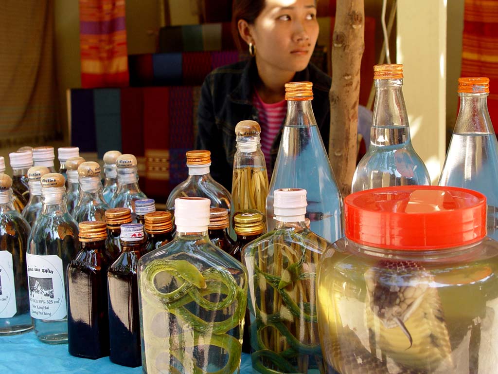 Snake Wine