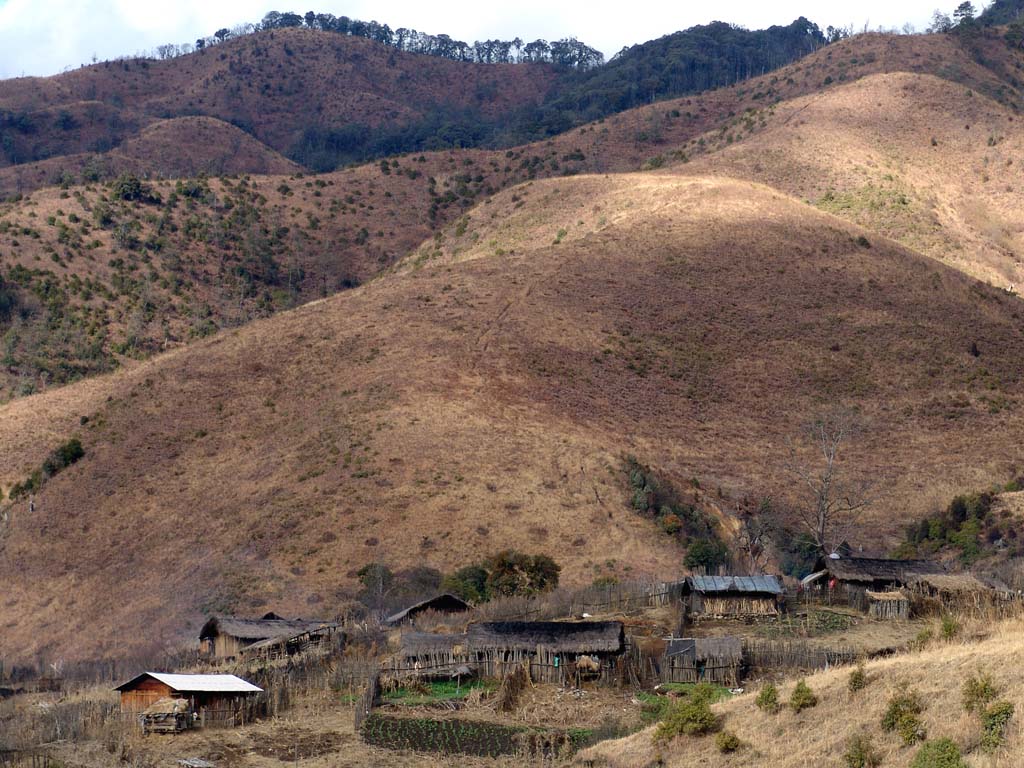 Back to Chebwe