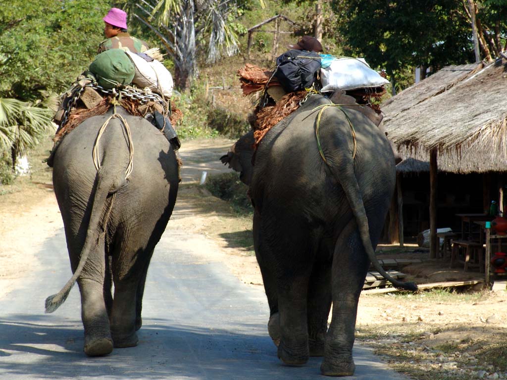 On the Road (Nansi Aung)