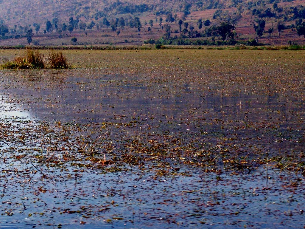 Ogre River