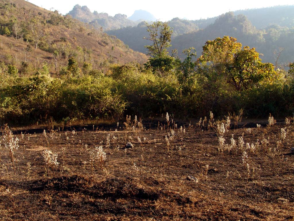 Loikaw Landscape
