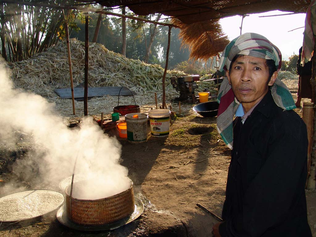 Surgar Cane Worker