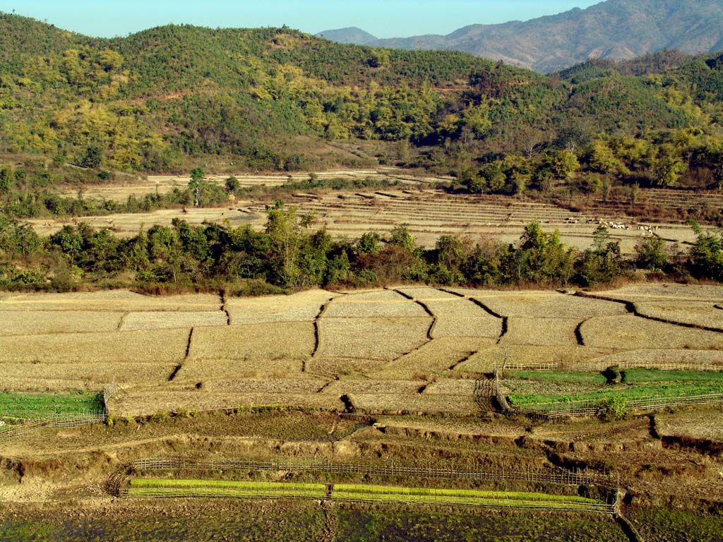 Landscape