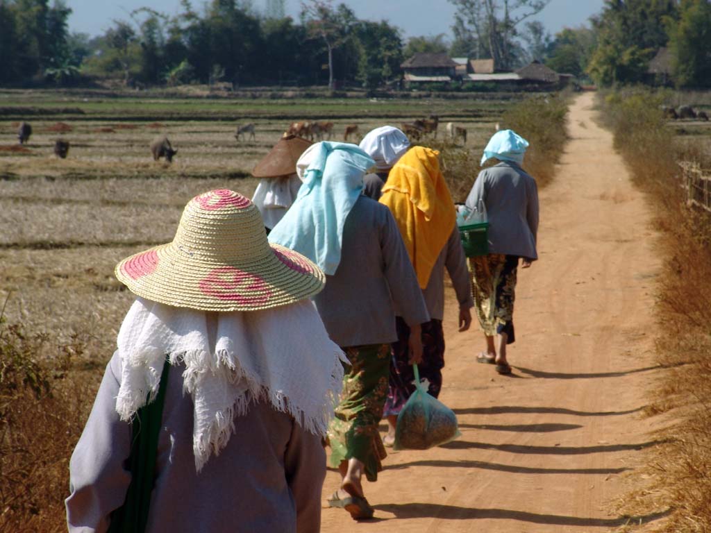 Shan Caravan