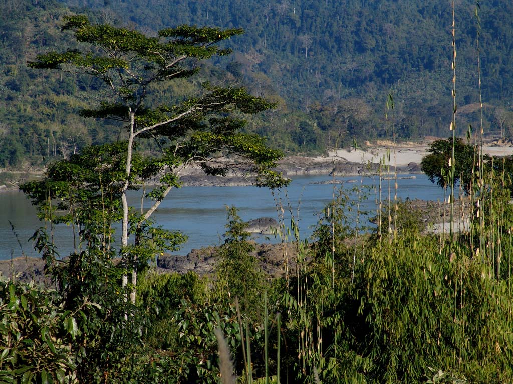 Malikha