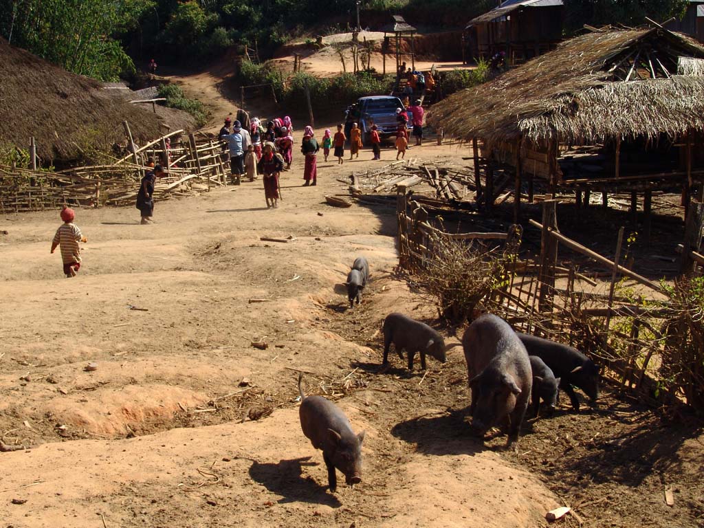 Hoi Hom (Palaung Village)