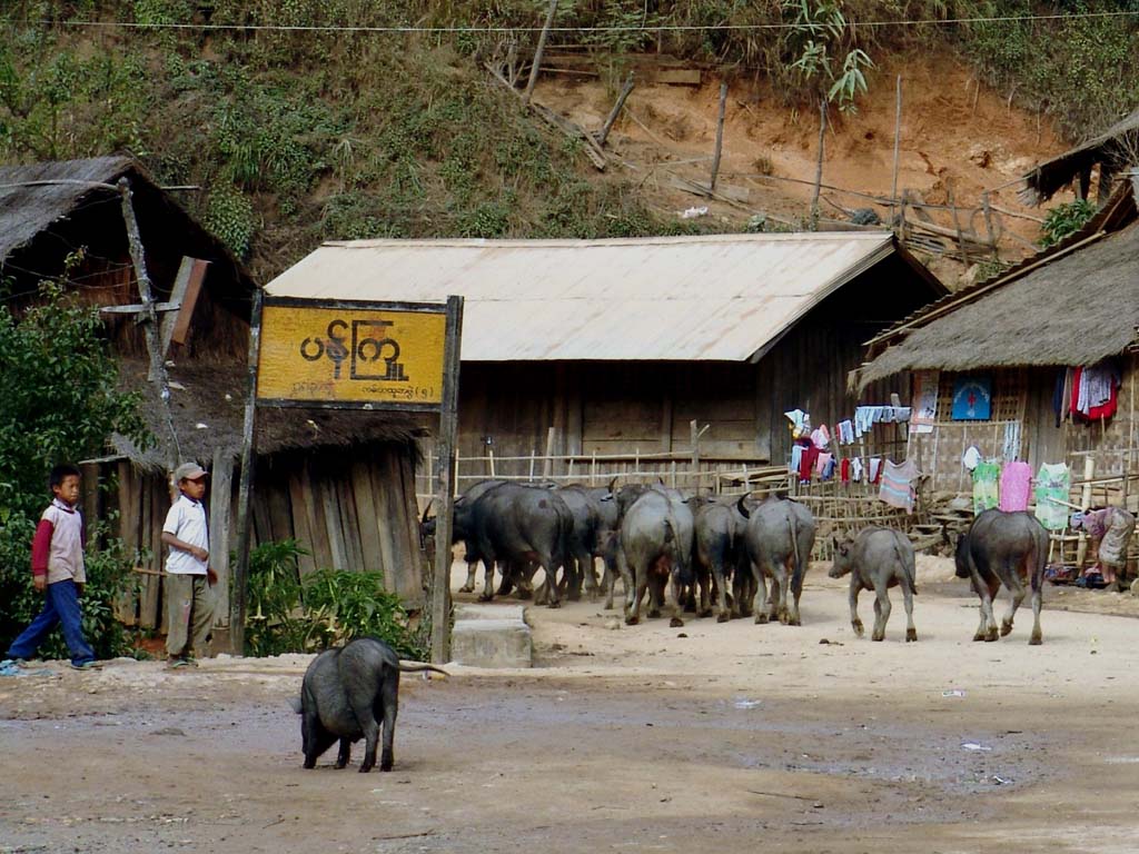 Lisu Village Pan Xiu