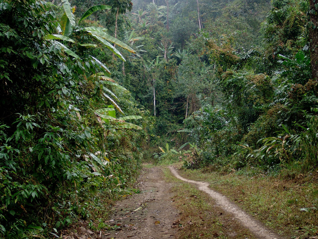 Nanyun - Pangsawng