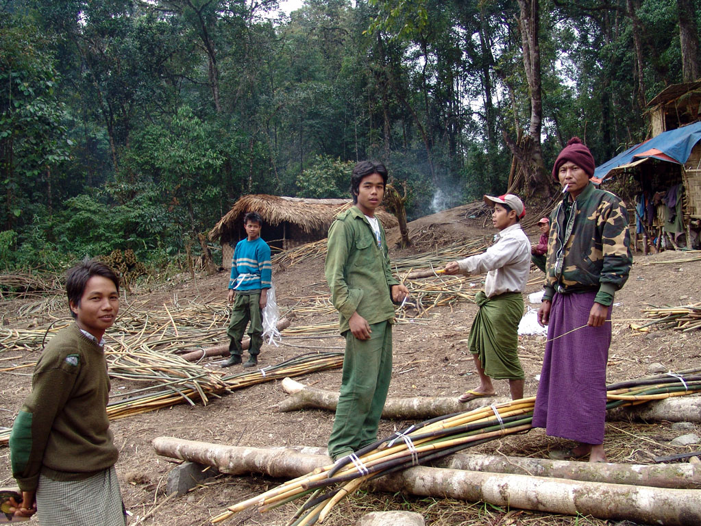 Cane Cutting