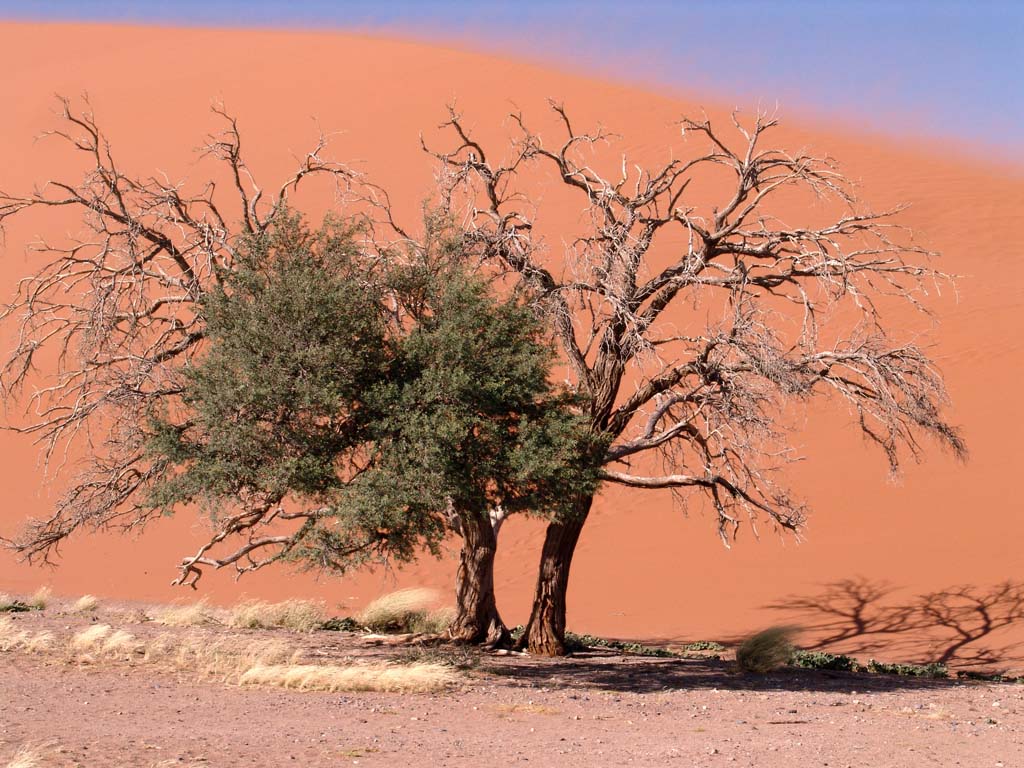 Sesriem-Sossusvlei