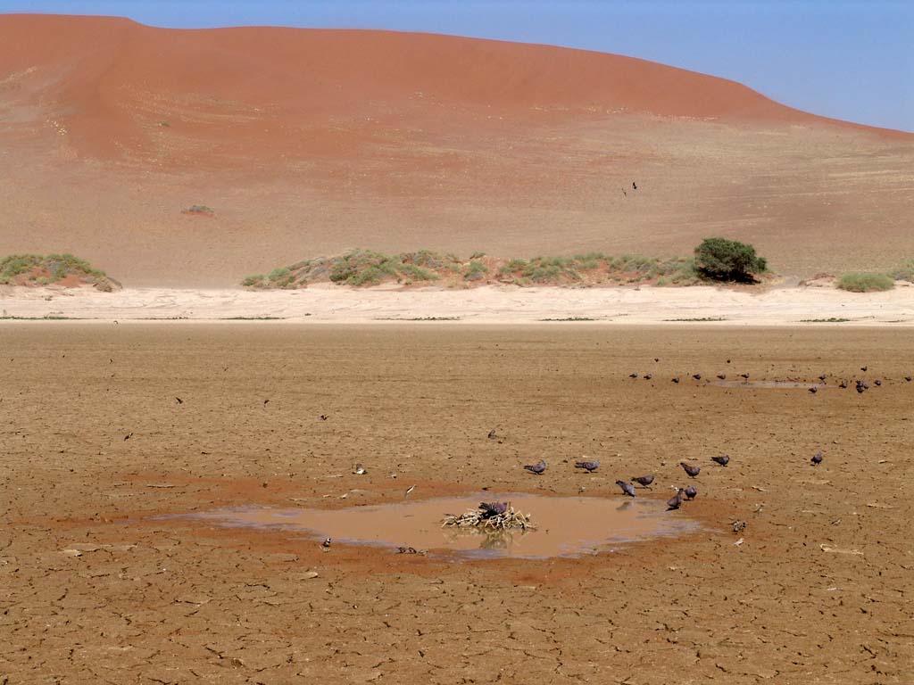 Sossusvlei