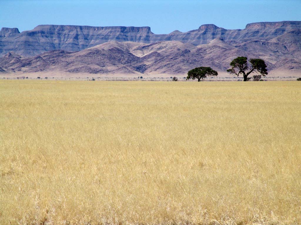 Kulala Region
