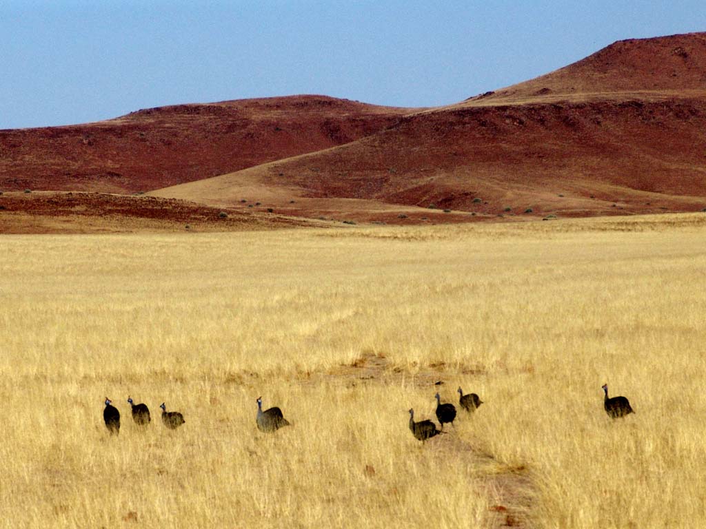 Palmwag Rhino Camp