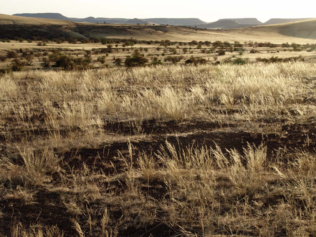Palmwag Rhino Camp