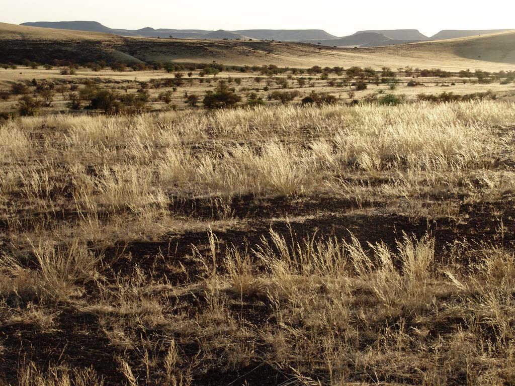 Palmwag Rhino Camp