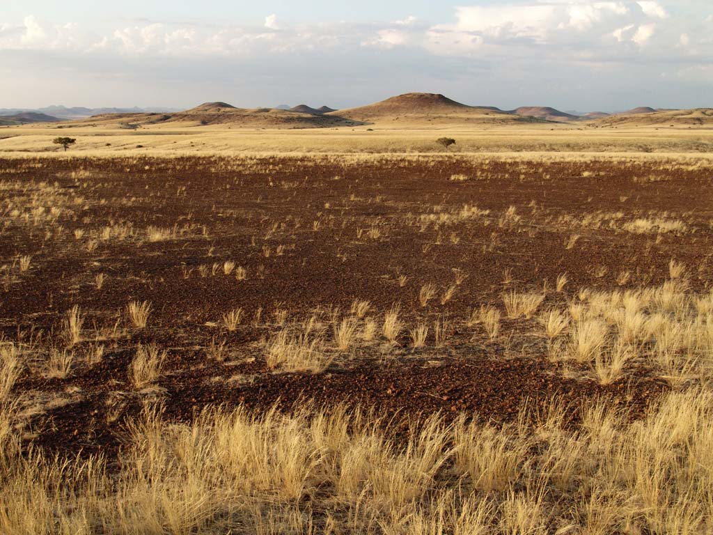 Palmwag Rhino Camp