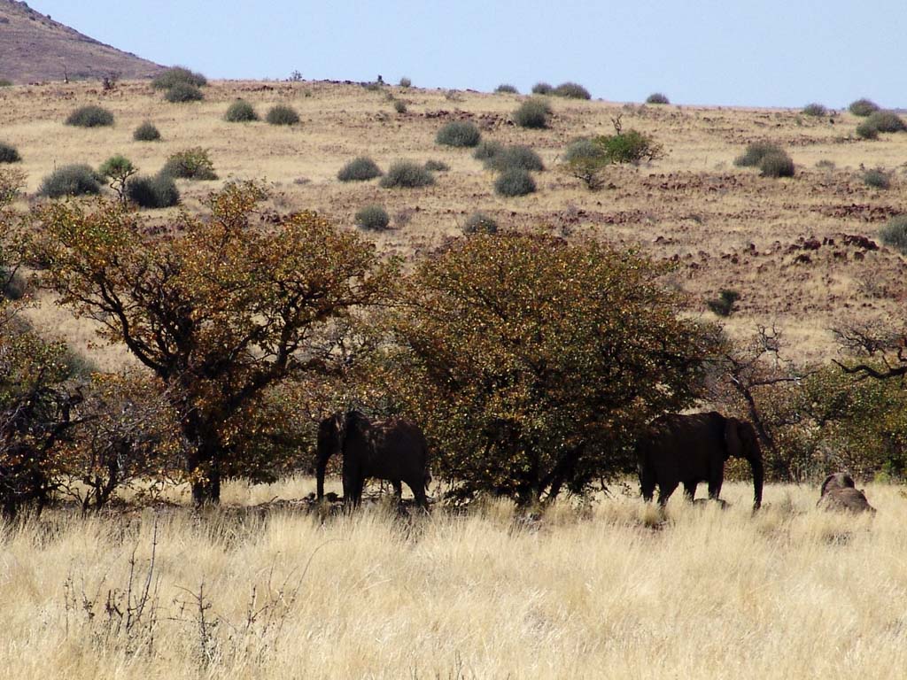 Palmwag Rhino Camp